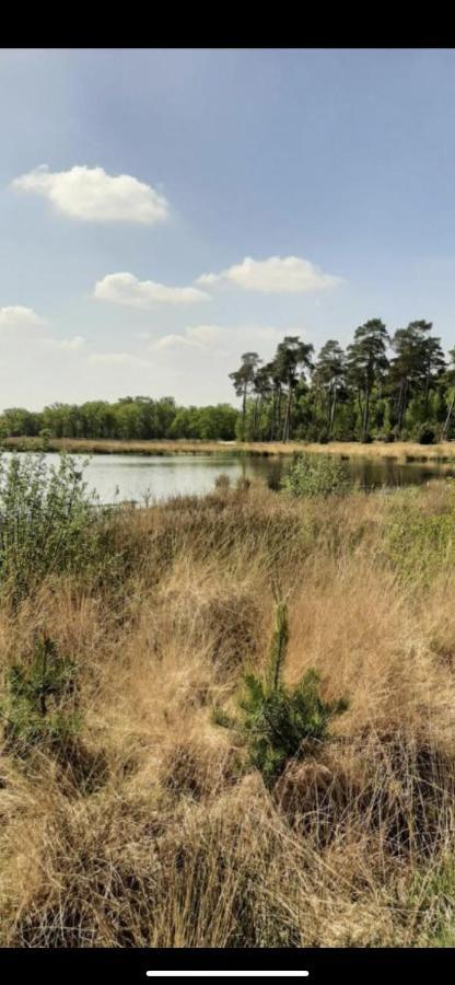 Safarihuisje Met Airco! Oisterwijk Exteriör bild