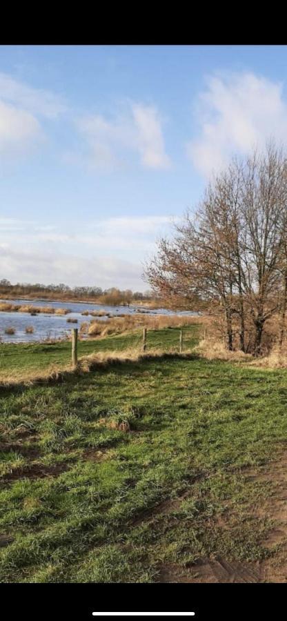 Safarihuisje Met Airco! Oisterwijk Exteriör bild